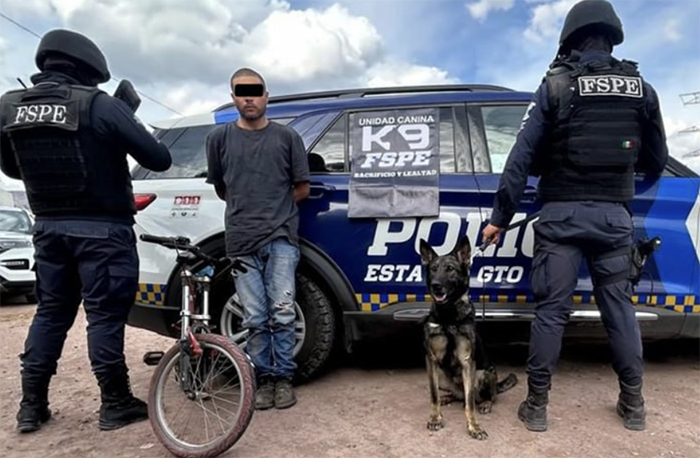 Unidad Canina detecta y captura a sujeto con droga en La Maraña, Pénjamo